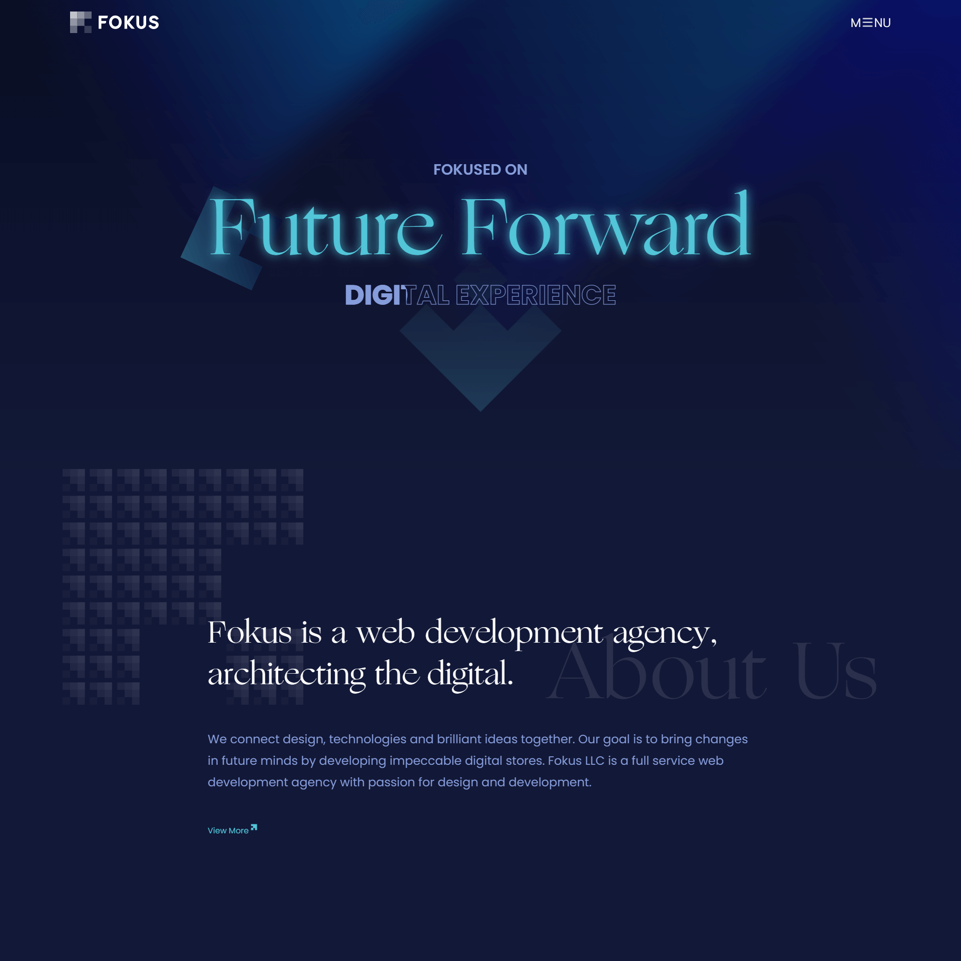 Fokus Web Development Agency